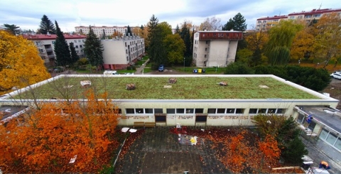 Střechy na Základní škole Za Alejí pokryla vegetace